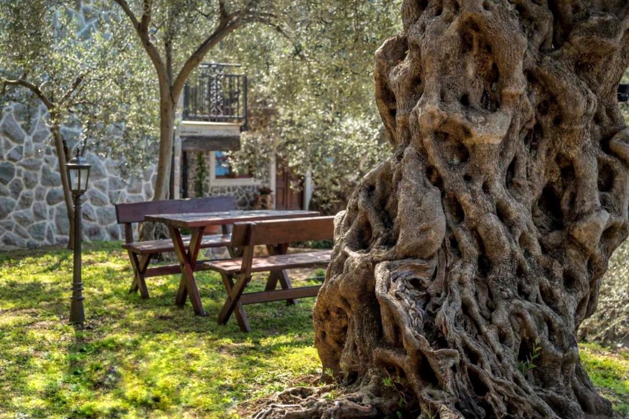 OLIVE QUEEN Rustic villa Bar Esterno foto