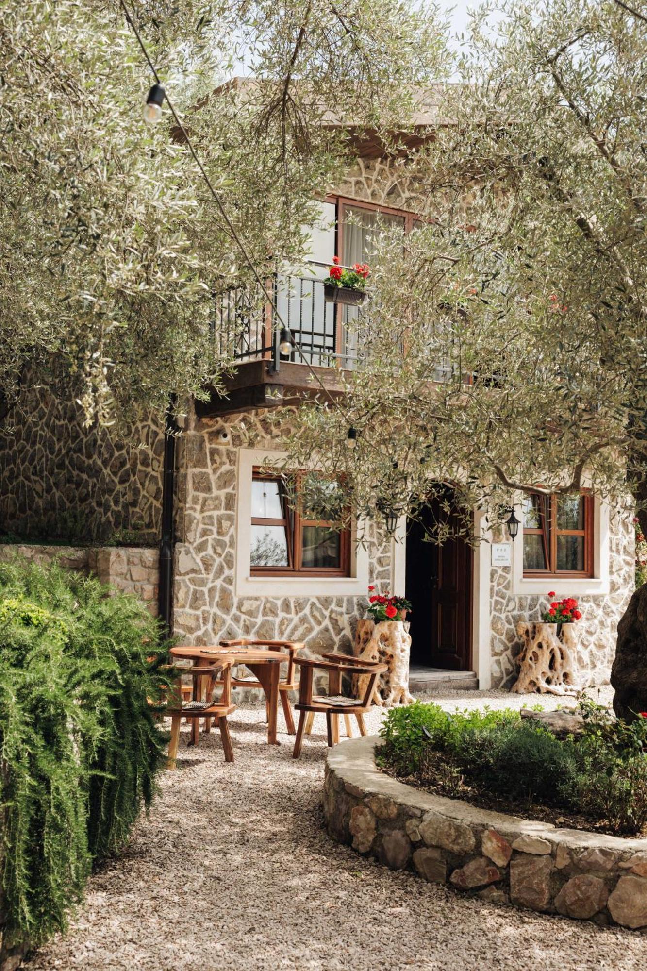 OLIVE QUEEN Rustic villa Bar Esterno foto